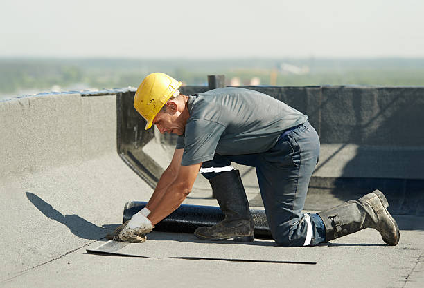 Best Eco-Friendly Insulation in Pine Ridge At Crestwood, NJ